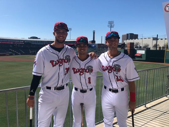 Lansing Lugnuts vs. West Michigan Whitecaps at Michigan Stadium