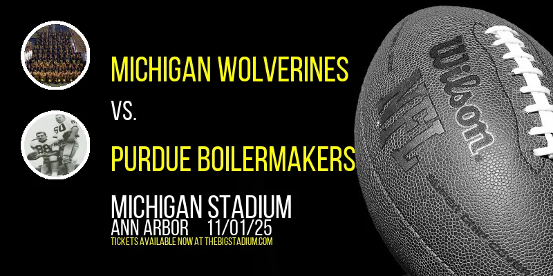Michigan Wolverines at Michigan Stadium